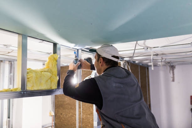 Best DIY Insulation Kits and Guidance in Howey In The Hills, FL
