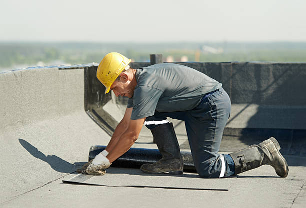 Best Specialized Insulation Services in Howey In The Hills, FL
