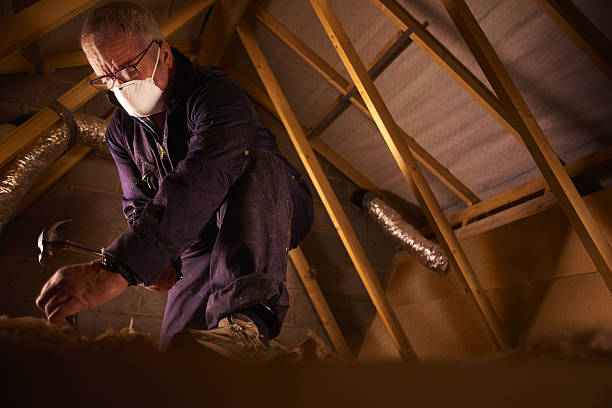 Best Blown-in Insulation in Howey In The Hills, FL