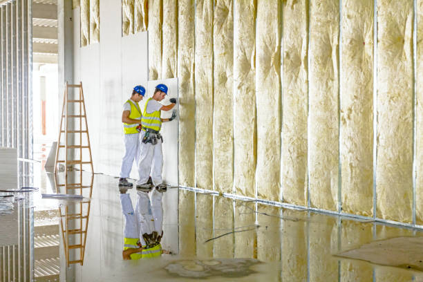 Types of Insulation We Offer in Howey In The Hills, FL